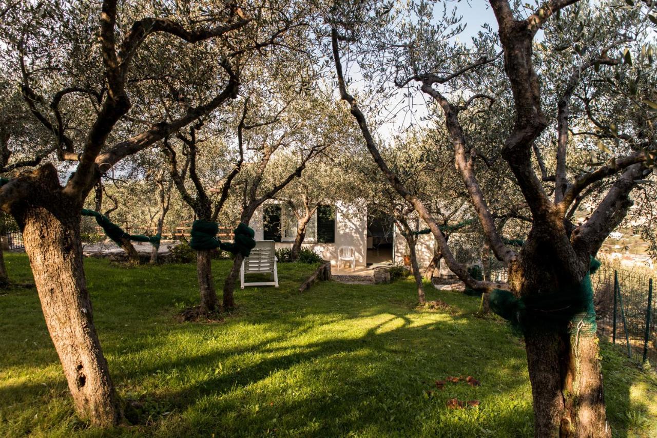 Agri Bed - L'Affittacamere In Collina - Guest Room On The Hill Lavagna Ngoại thất bức ảnh