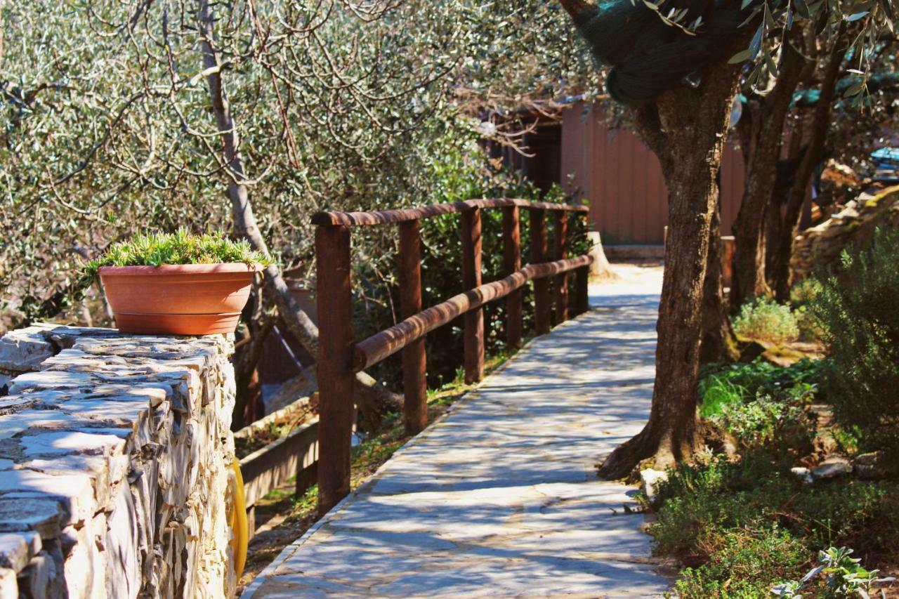 Agri Bed - L'Affittacamere In Collina - Guest Room On The Hill Lavagna Ngoại thất bức ảnh